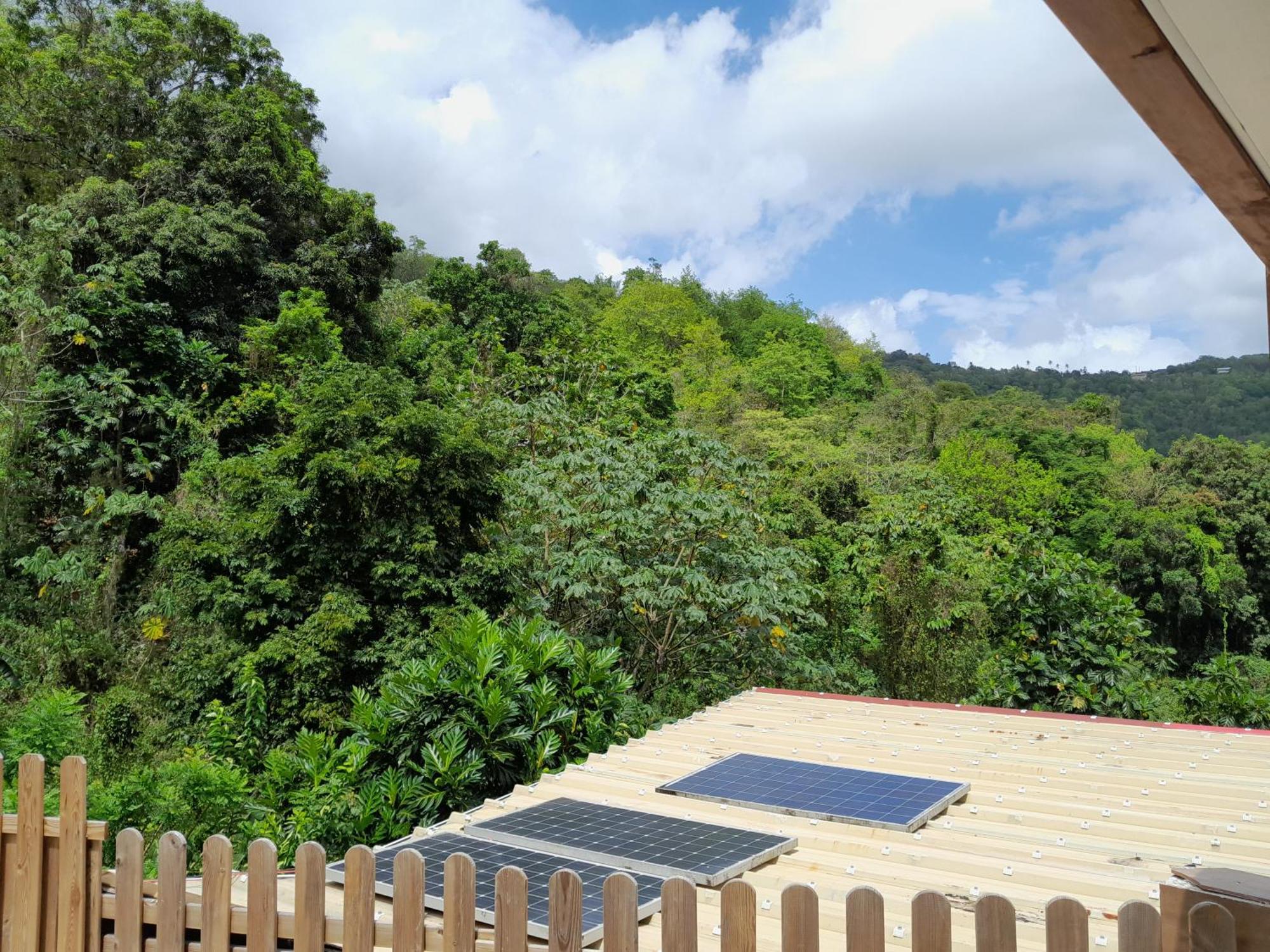 Villa La Poulette Amazonienne Rivière-Pilote Exterior foto